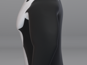 audacious penguin-rigged-textured Model 3D