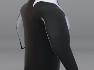audacious penguin-rigged-textured Model 3D