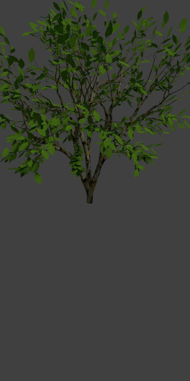 wood 3D Model .c4d .max .obj .3ds .fbx .stl .blend 