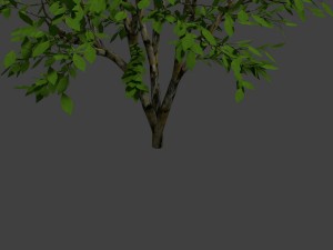 wood 3D Model