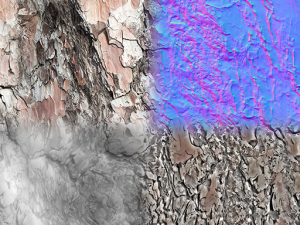 10 tree bark textures CG テクスチャ