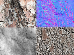 10 2k tree bark textures CG 텍스쳐