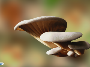 game ready pbr mushrooms set 1 3Dモデル