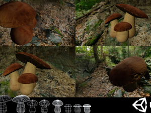 game ready pbr mushrooms set 1 3Dモデル
