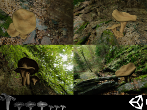 game ready pbr mushrooms set 1 3Dモデル