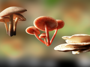 game ready pbr mushrooms set 2 3D Models