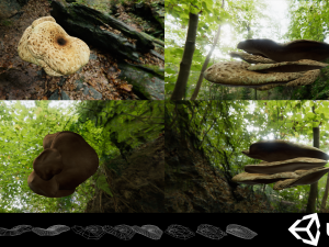 game ready pbr mushrooms set 2 3D Model