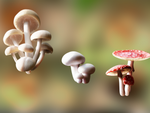 game ready pbr mushrooms set 3 3D Models
