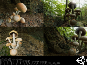 game ready pbr mushrooms set 3 3D Model