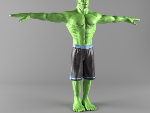 Hulk 3D Character Model 3D Model