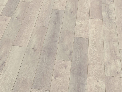 Стокгольмський дуб5924 Стокгольм 3D Модель