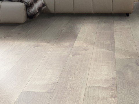 Стокгольмський дуб5924 Стокгольм 3D Модель