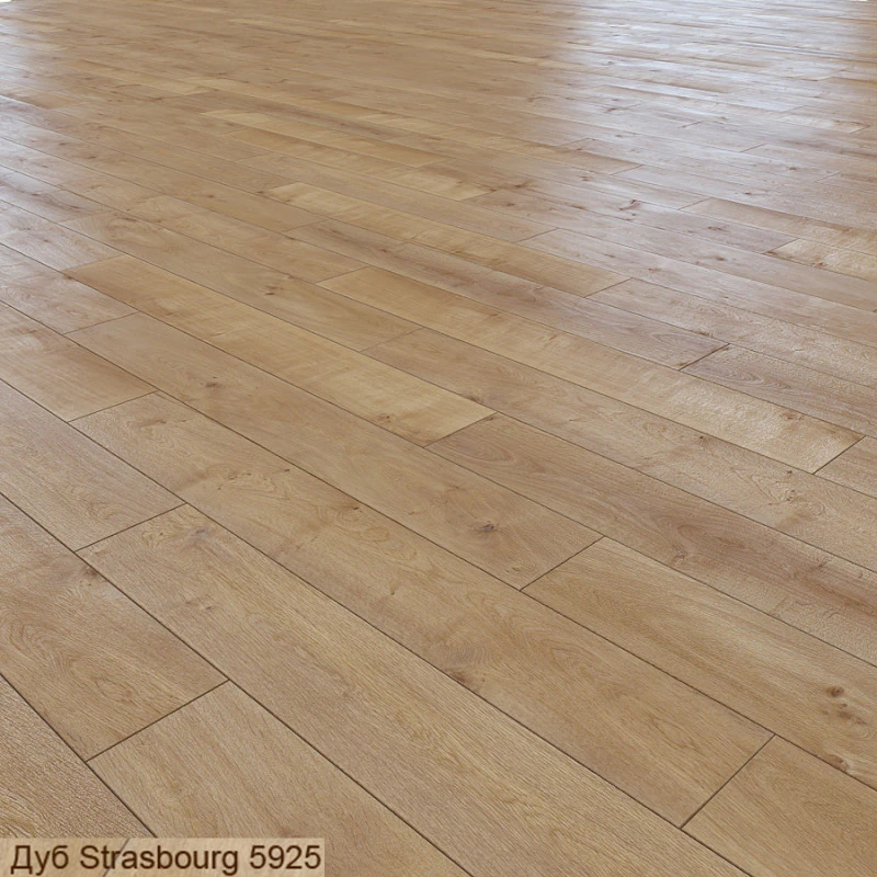Oak Strasbourg 5925 Strasbourg 5925 3D Model .c4d .max .obj .3ds .fbx .stl .blend 