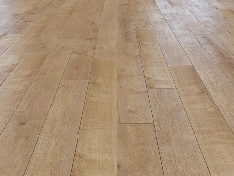 Oak Strasbourg 5925 Strasbourg 5925 3D Model