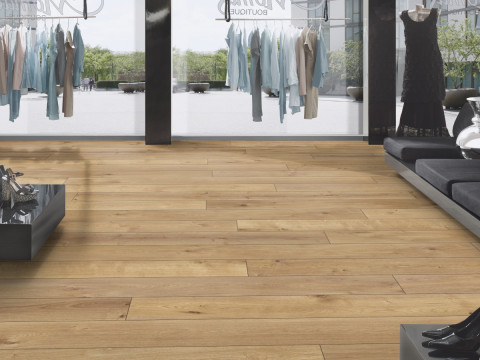 Meşe Strazburg 5925 Strazburg 5925 3D Model