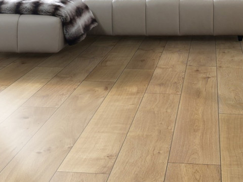 Meşe Strazburg 5925 Strazburg 5925 3D Model