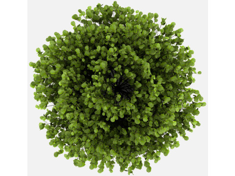 Concrete plantplants SCENE MODELS 3D Model