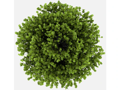 Concrete plantplants SCENE MODELS 3D Model