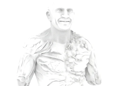 Metamorpho 3D Model