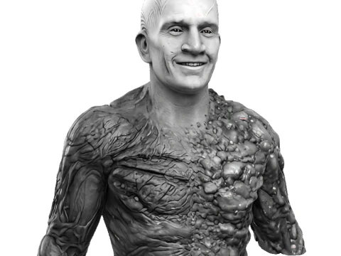 Metamorpho 3D Model