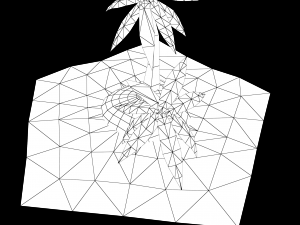 coconut tree island low-poly 3d model Modello 3D