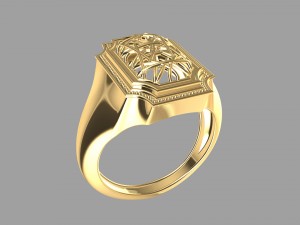 wired ring 3D 打印模型