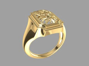 wired ring 3D Print Model