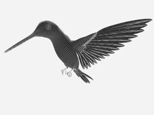 Hummingbird 3D Model