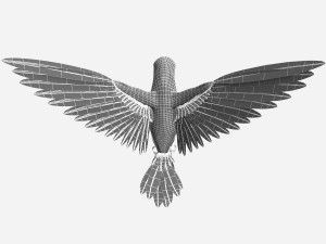 Hummingbird 3Dモデル