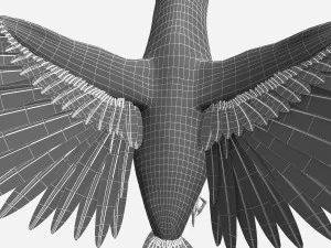 Hummingbird 3D Model