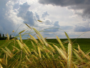 10 sky and clouds background textures jpg 5184x3456 CG Текстури
