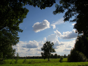 10 sky and clouds background textures jpg 5184x3456 CG Текстури