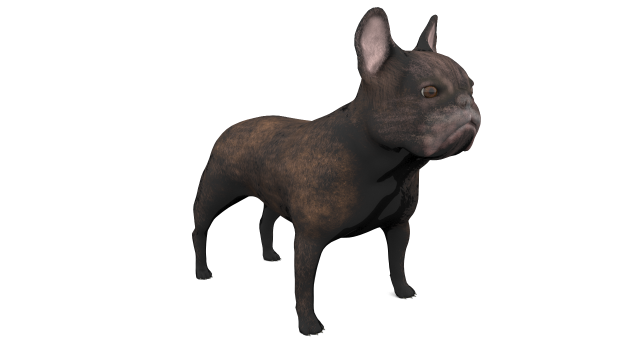 french bulldog 3D Модель .c4d .max .obj .3ds .fbx .stl .blend 
