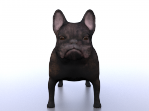 french bulldog 3D Модель