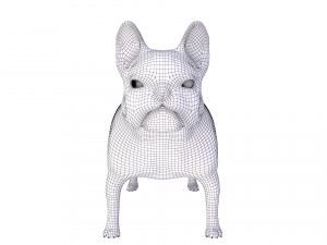 french bulldog 3D Модель
