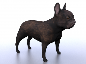 french bulldog 3D Модель