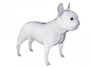 french bulldog 3D Модель