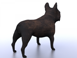 french bulldog 3D Модель