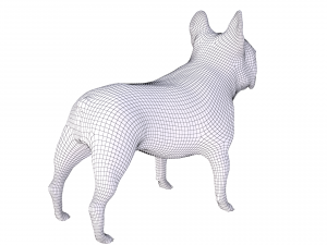 french bulldog 3D Модель