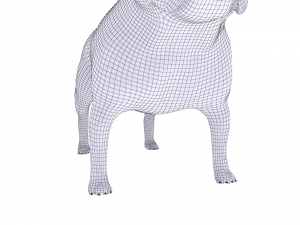 french bulldog 3D Модель