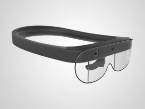 रोकिड अर चश्मा 3D मॉडल