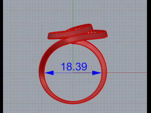 espiral ring 3Dプリントモデル
