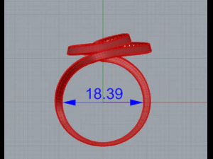 espiral ring 3D Print Model