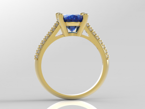solitary oval 10x8 3Dプリントモデル