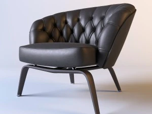 visionaire osseneetkamer 3D Model