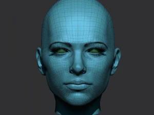 realistic woman head 3D Model