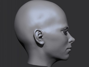 realistic woman head 3D 모델
