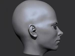 realistic woman head 3D Model