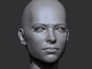 realistic woman head 3D Model