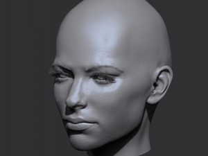 realistic woman head 3D 모델